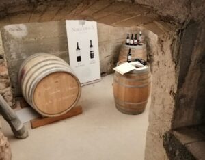 Noves mesures al Celler per la Covid-19